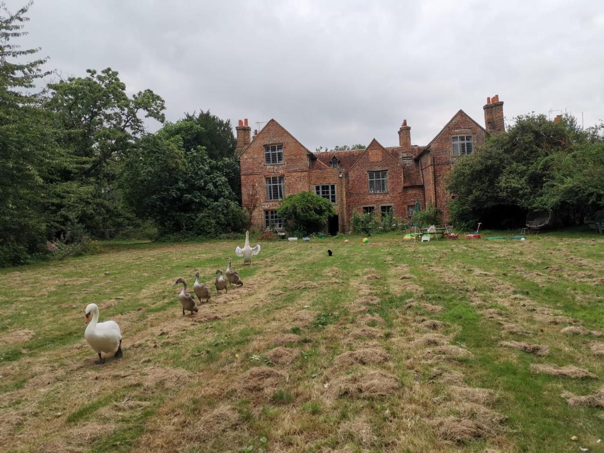 シェパートン Old Manor House Bed & Breakfast エクステリア 写真